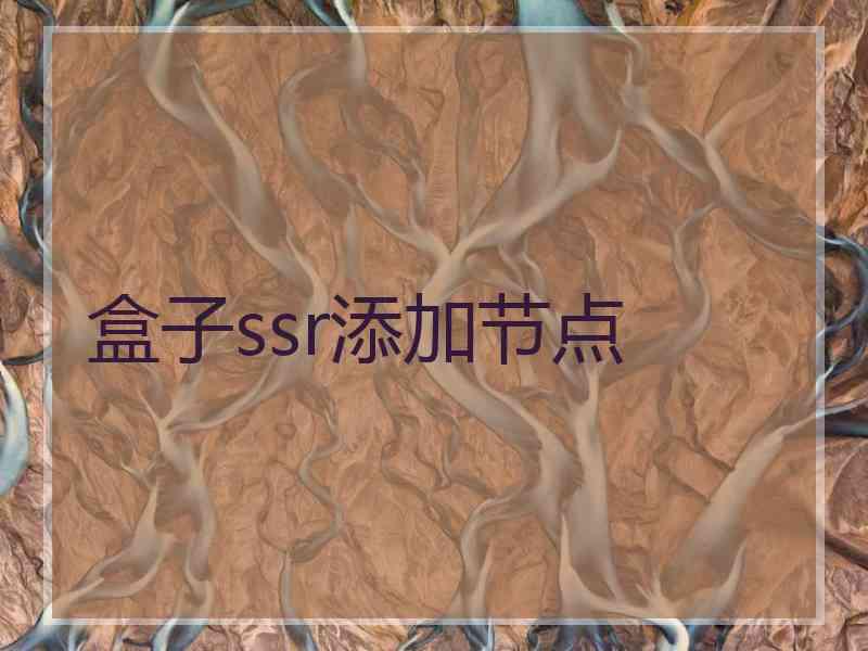 盒子ssr添加节点