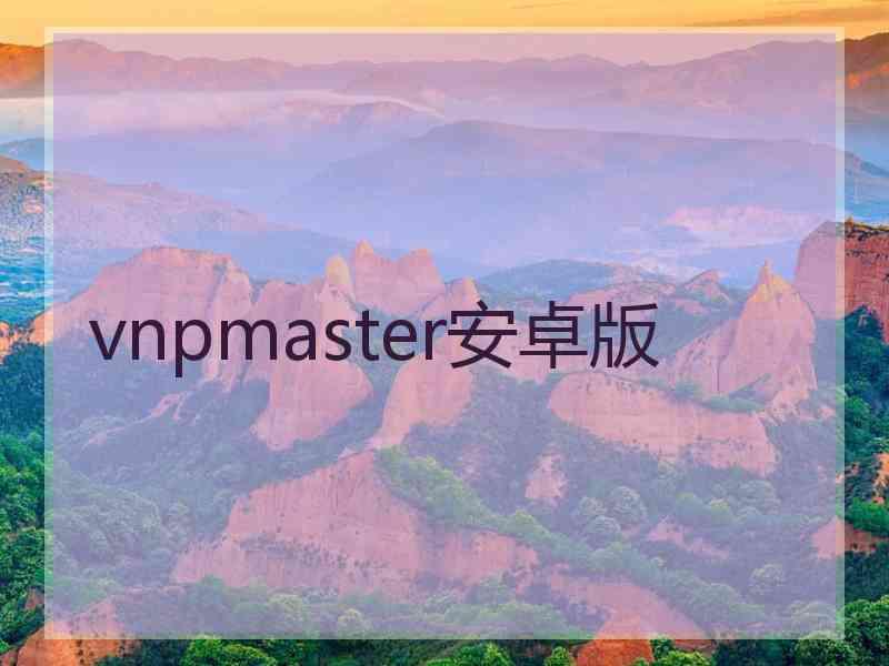 vnpmaster安卓版