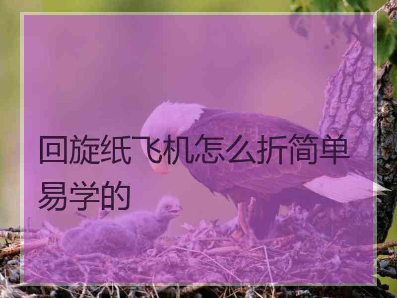 回旋纸飞机怎么折简单易学的