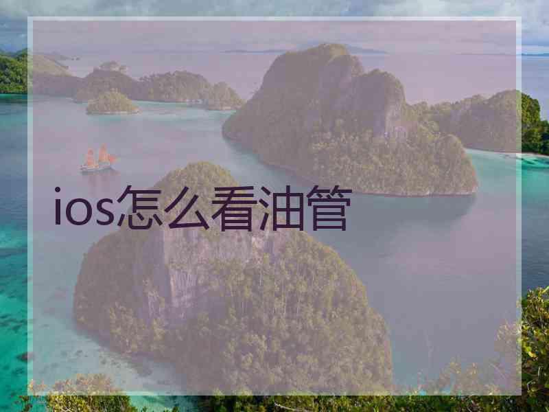 ios怎么看油管