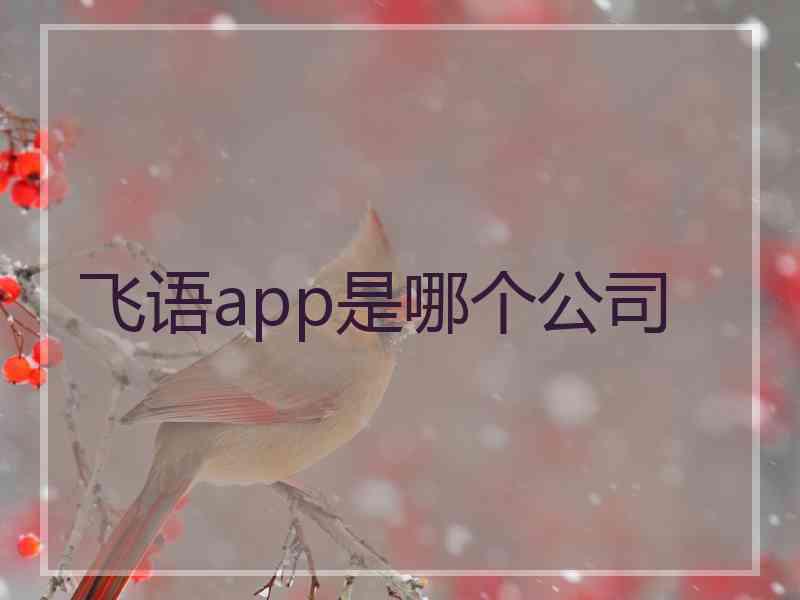 飞语app是哪个公司