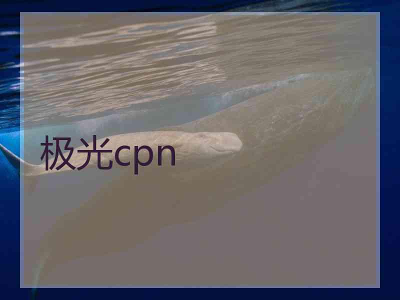 极光cpn