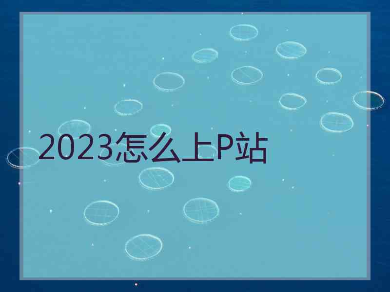 2023怎么上P站