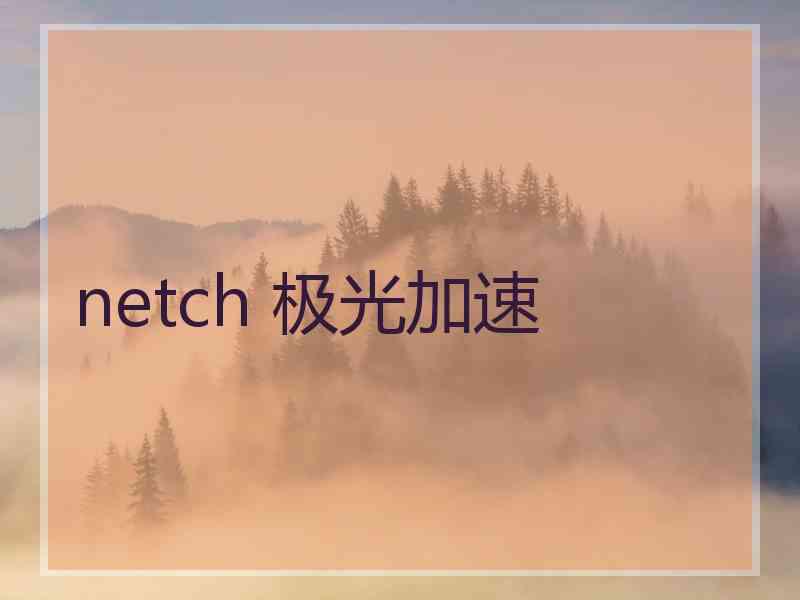 netch 极光加速