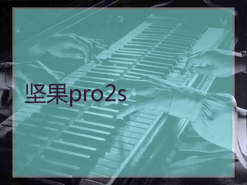 坚果pro2s