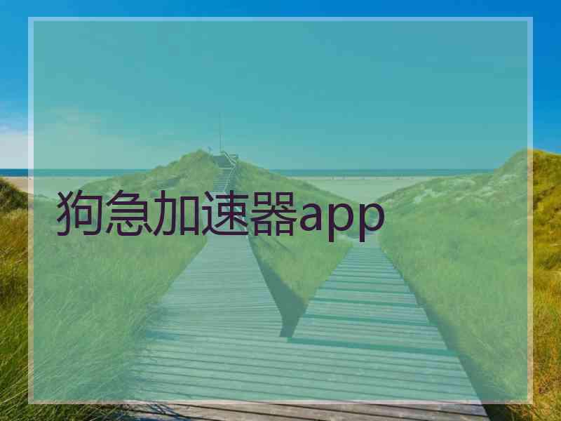 狗急加速器app