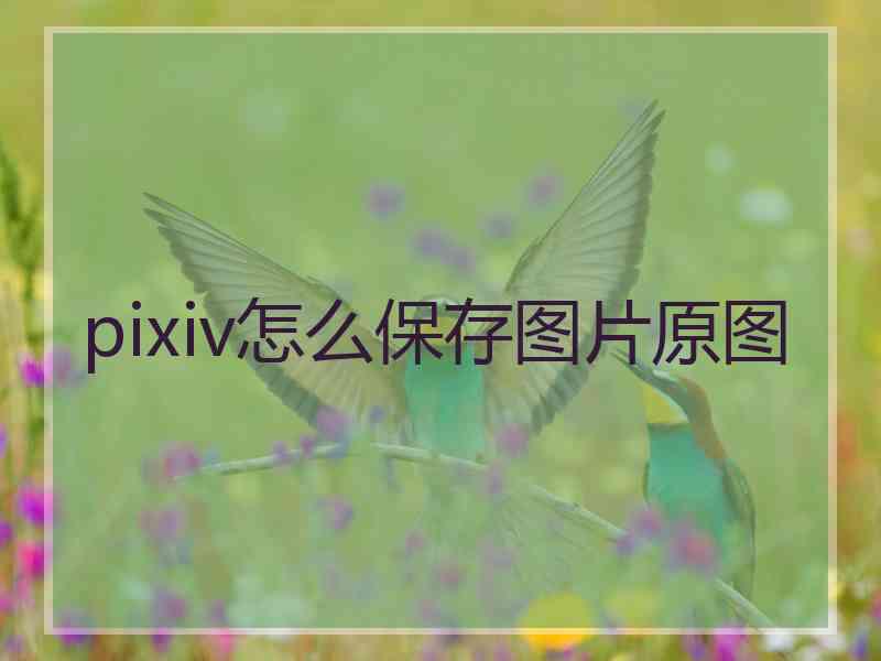 pixiv怎么保存图片原图