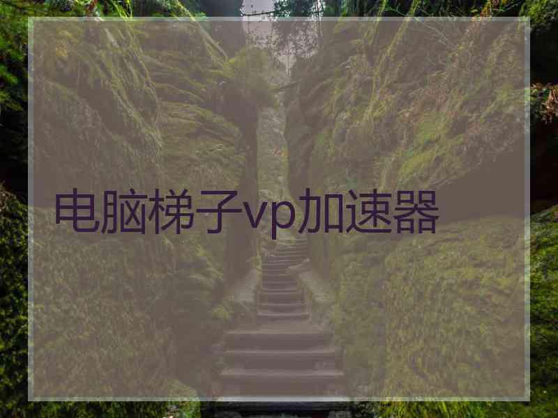 电脑梯子vp加速器