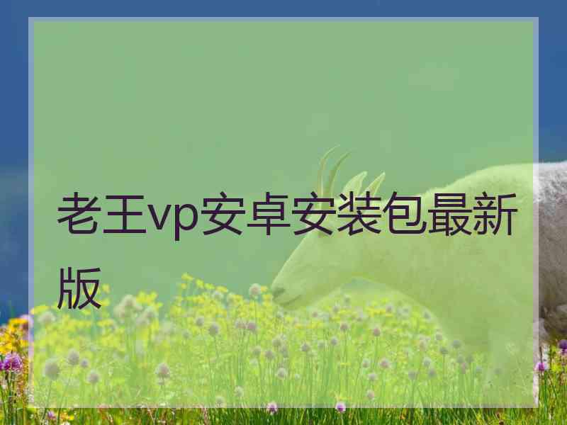 老王vp安卓安装包最新版