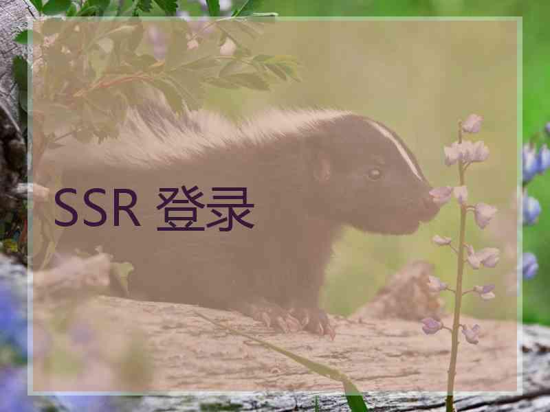 SSR 登录