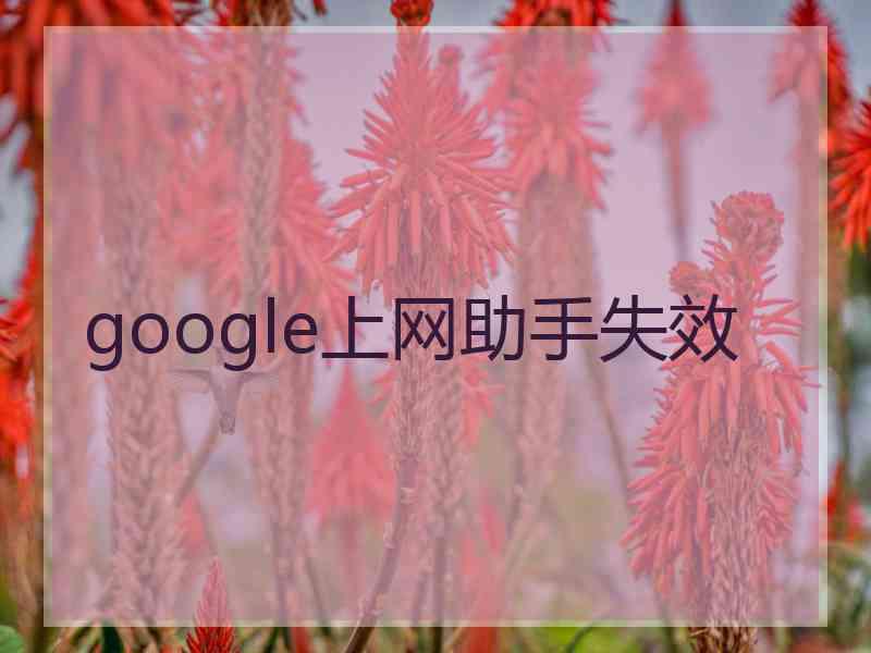 google上网助手失效