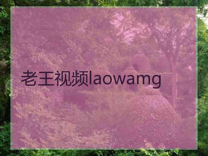 老王视频laowamg