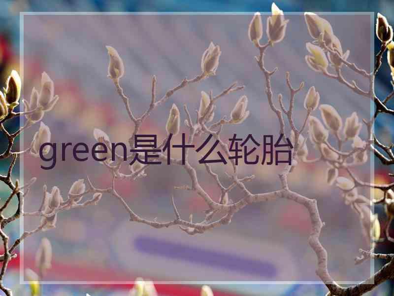 green是什么轮胎