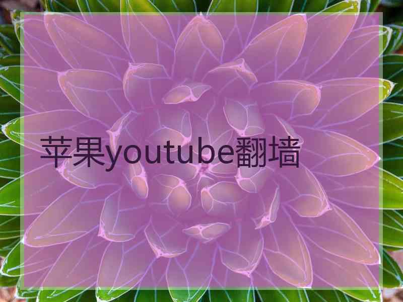 苹果youtube翻墙