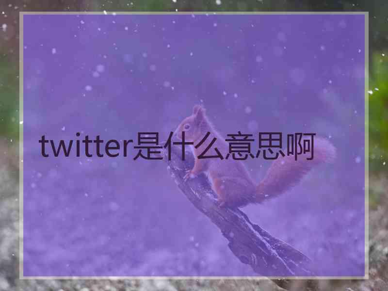 twitter是什么意思啊