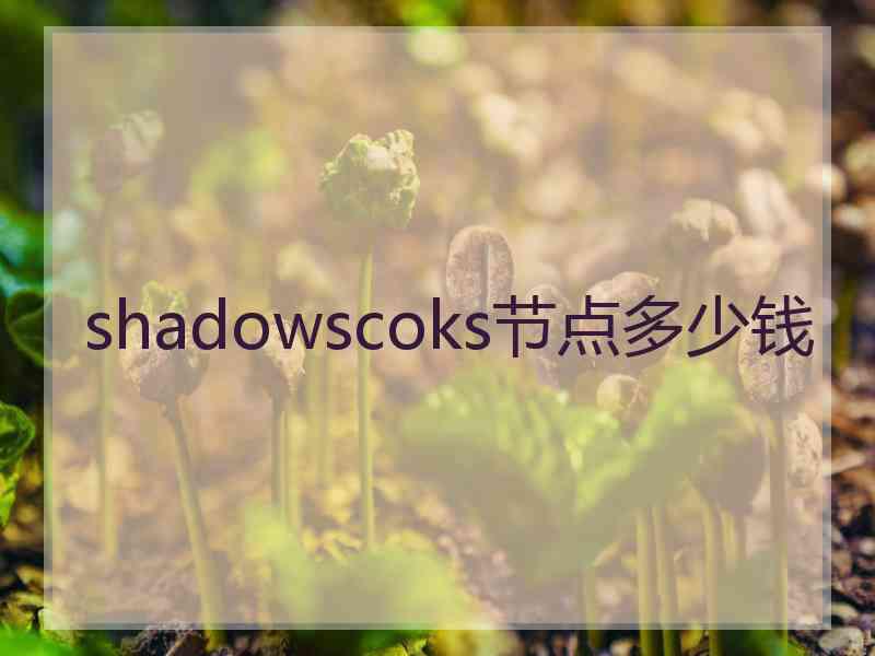 shadowscoks节点多少钱