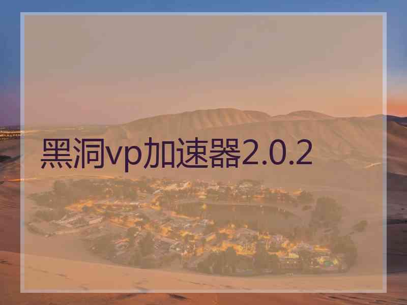 黑洞vp加速器2.0.2