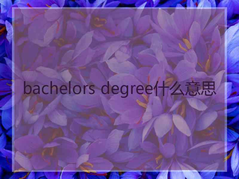 bachelors degree什么意思