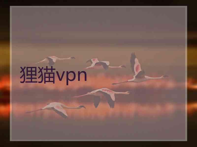 狸猫vpn