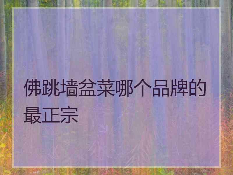 佛跳墙盆菜哪个品牌的最正宗