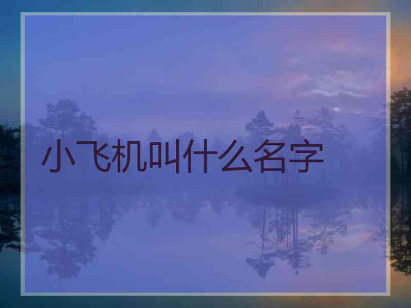 小飞机叫什么名字