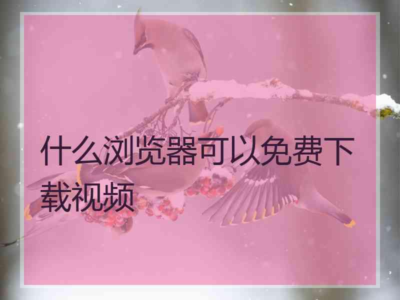 什么浏览器可以免费下载视频