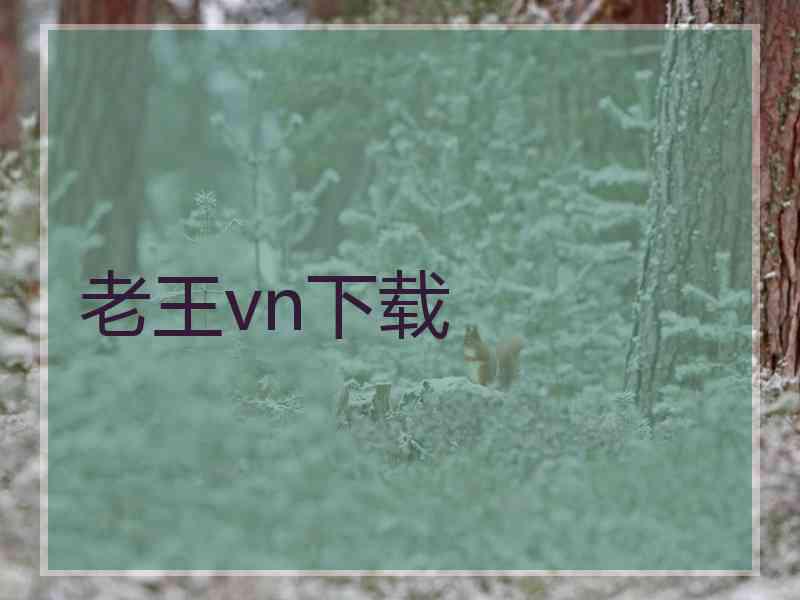 老王vn下载