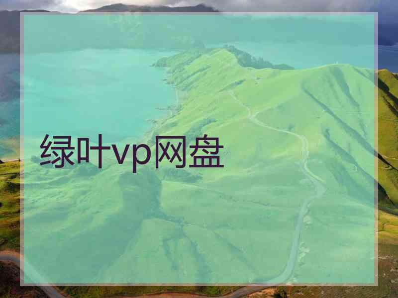 绿叶vp网盘