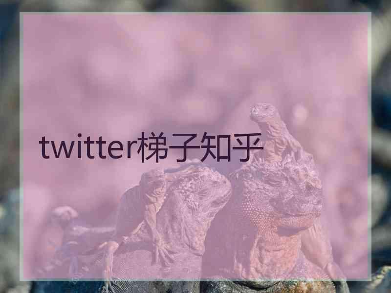 twitter梯子知乎