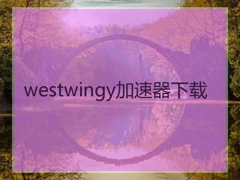 westwingy加速器下载