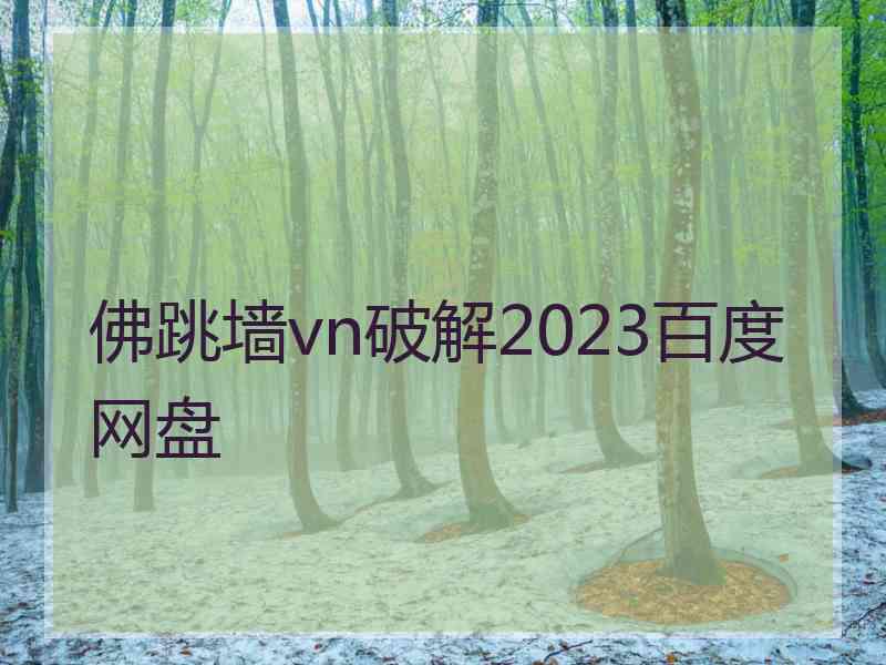 佛跳墙vn破解2023百度网盘