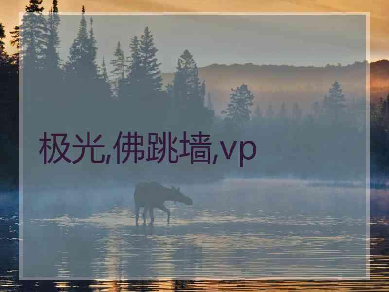 极光,佛跳墙,vp