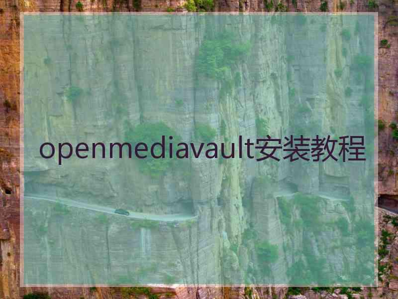 openmediavault安装教程