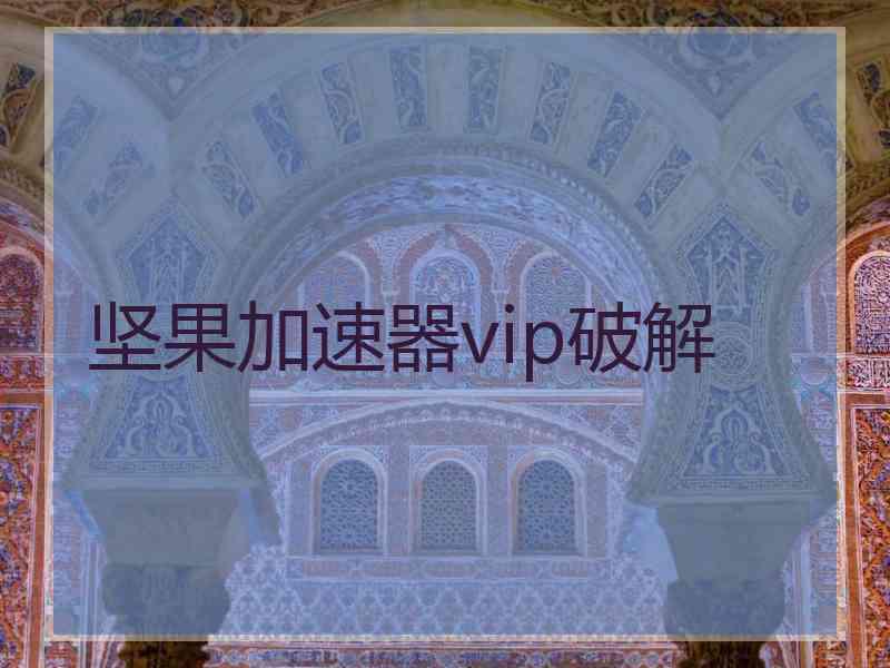 坚果加速器vip破解