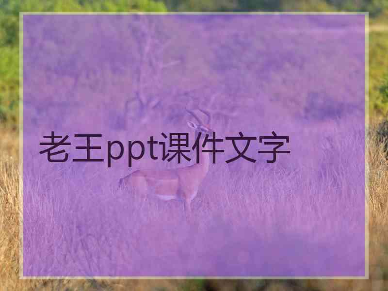 老王ppt课件文字