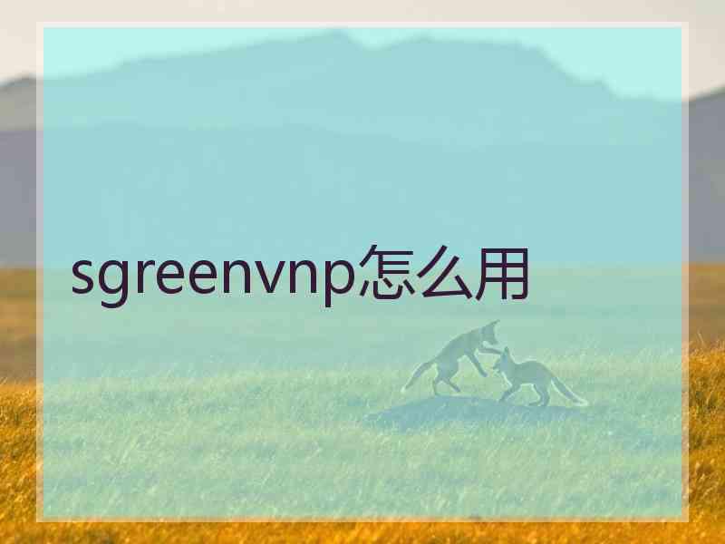 sgreenvnp怎么用