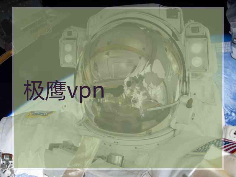 极鹰vpn