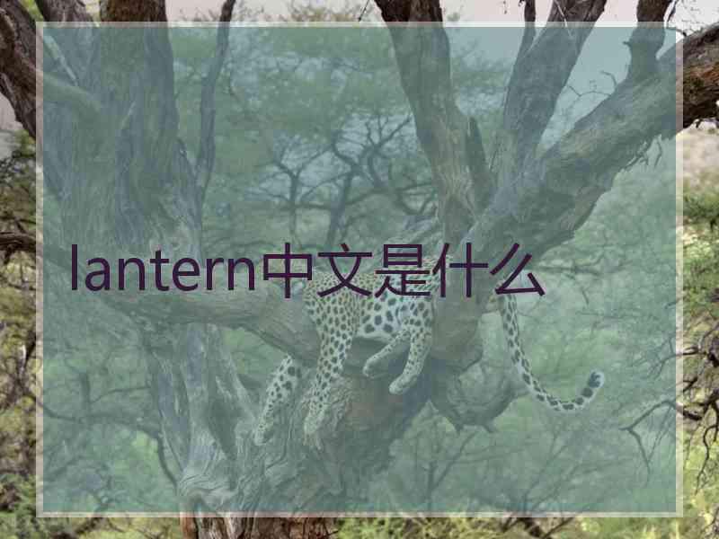 lantern中文是什么