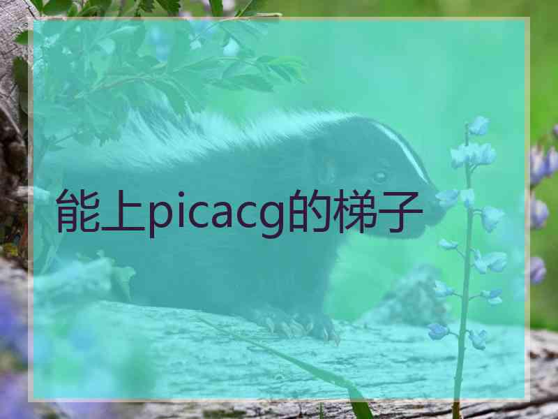 能上picacg的梯子