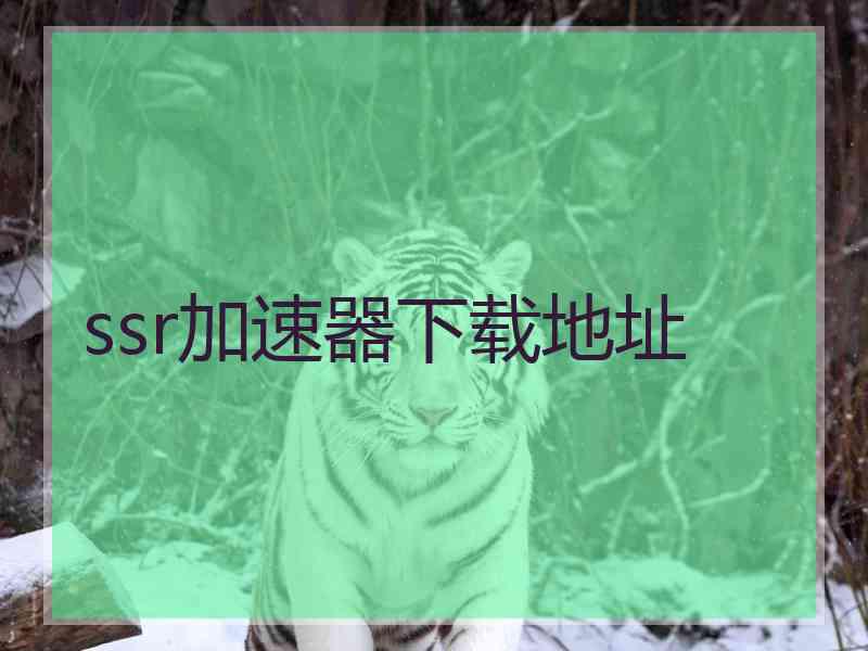 ssr加速器下载地址