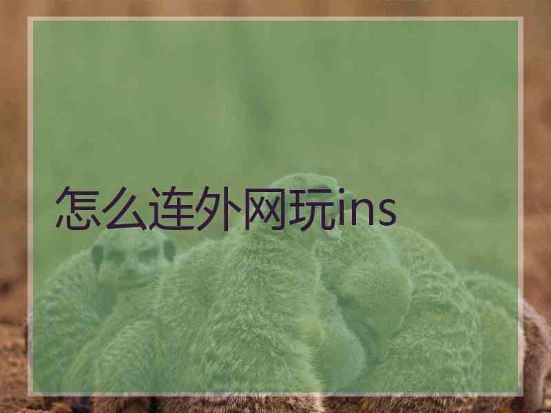 怎么连外网玩ins