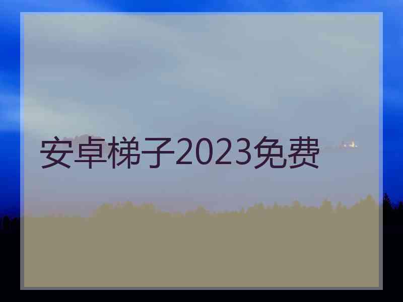 安卓梯子2023免费