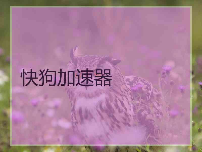 快狗加速器