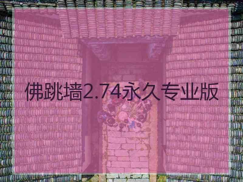 佛跳墙2.74永久专业版