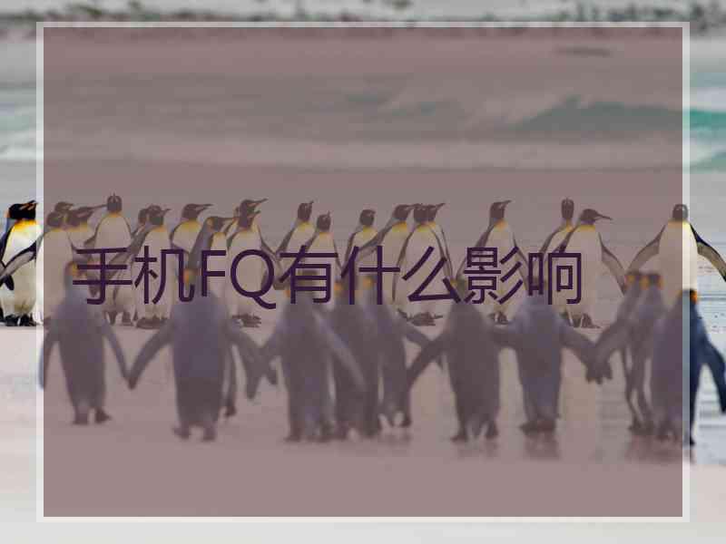 手机FQ有什么影响