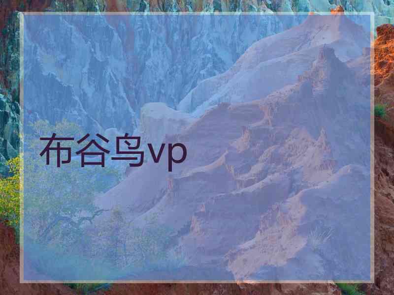 布谷鸟vp