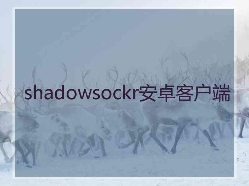 shadowsockr安卓客户端