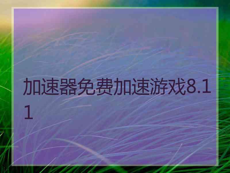 加速器免费加速游戏8.11