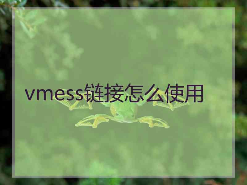 vmess链接怎么使用