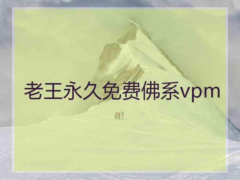 老王永久免费佛系vpm